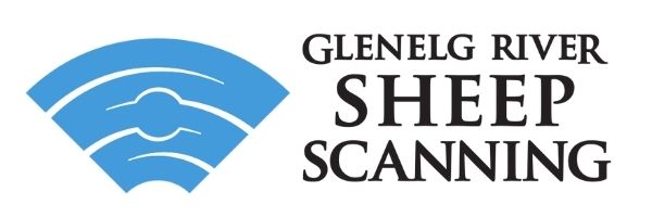 Glenelg River Sheep Scanning